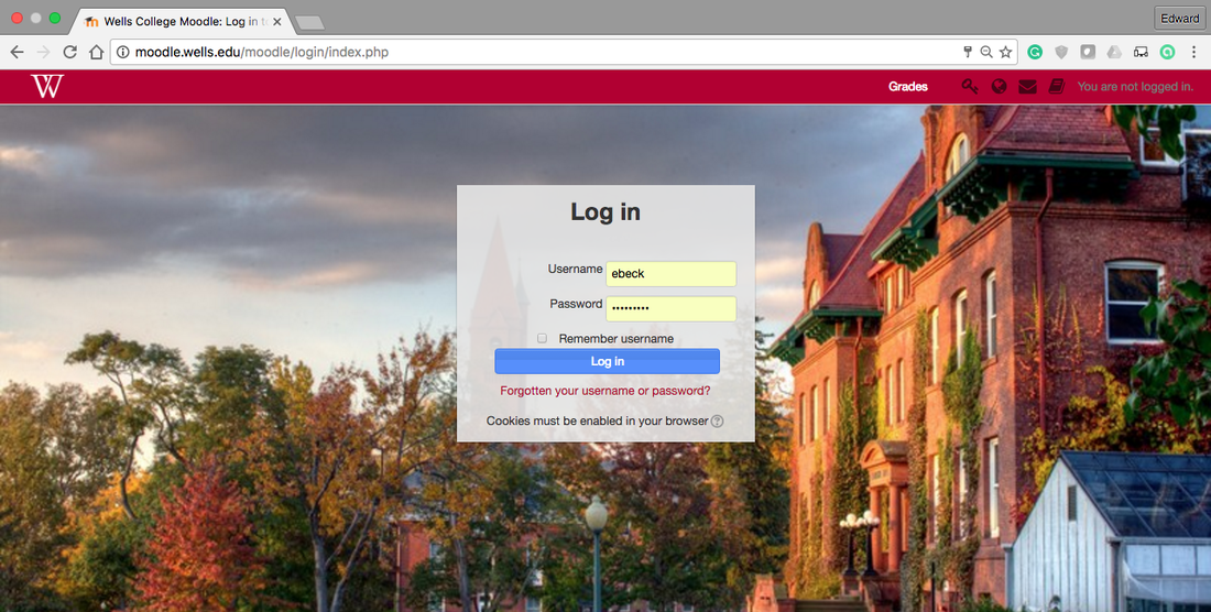 Bringing Moodle to Wells College